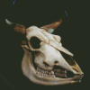 Aesthetic Bull Skull Diamond Paintings