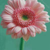 Aesthetic Flowers Pink Diamond Paintings