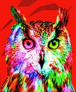 Colorful Abstract Owl Art Diamond Paintings