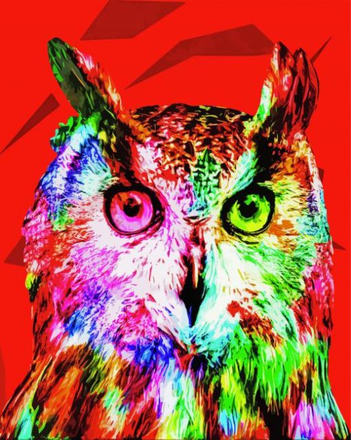 Colorful Abstract Owl Art Diamond Paintings