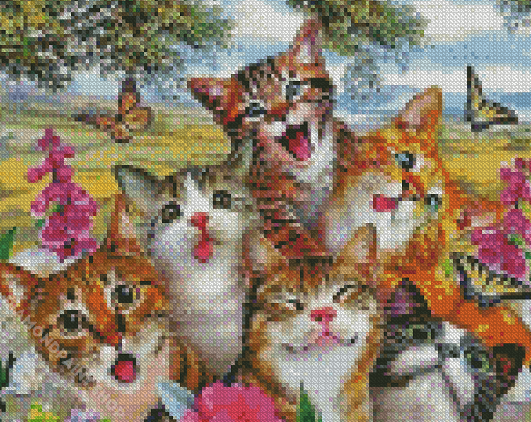Happy Cats Diamond Painting – All Diamond Painting