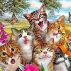 Happy Cat Selfie Diamond Paintings