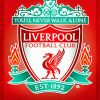 Liverpool Fc Crest Logo Diamond Paintings