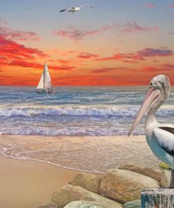 Pelican Birds Diamond Paintings