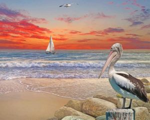 Pelican Birds Diamond Paintings