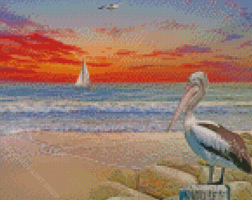 Pelican Birds Diamond Paintings