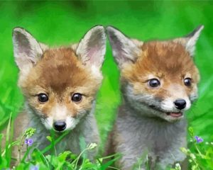 Baby Foxes Diamond Paintings