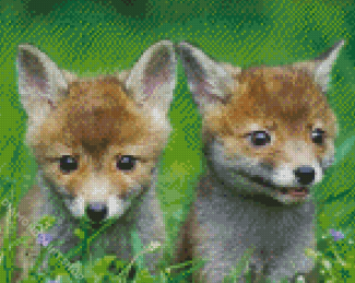 Baby Foxes Diamond Paintings