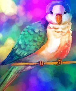 Colorful Quaker Parrot Diamond Paintings