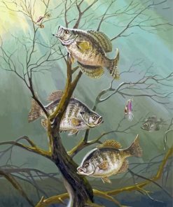Crappie Fishes - Diamond Paintings 