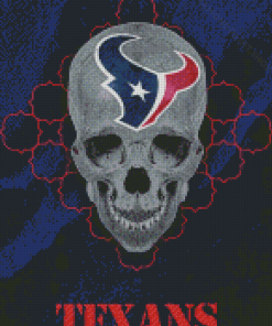 Houston Texans Skull Diamond Paintings
