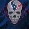 Houston Texans Skull Diamond Paintings