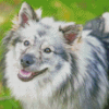 Keeshond Dog Animal Diamond Paintings