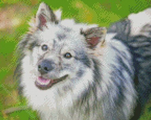 Keeshond Dog Animal Diamond Paintings