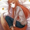 Manga Anime Spice And Wolf Diamond Paintings