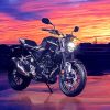 Motocycle Honda Sunset Diamond Paintings