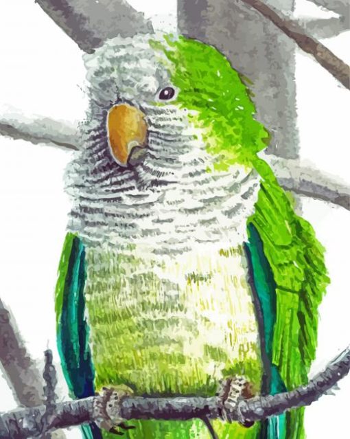Quaker Parrot Diamond Paintings