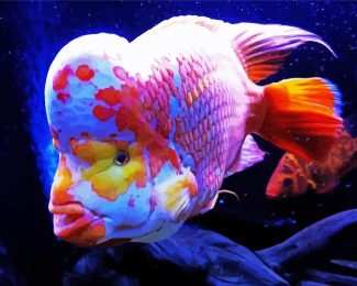 Red Devil Fish Undersea Diamond Paintings