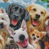 The Funny Dogs Diamond Paintings
