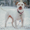 White Staffy Dog In Snow Diamond Paintings