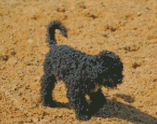 Aesthetic Black Poodle Puppy Diamond Paintings