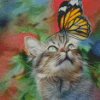 Aesthetic Butterfly On Cat Diamond Paintings