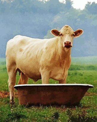 Aesthetic Cow In A Tub Diamond Paintings