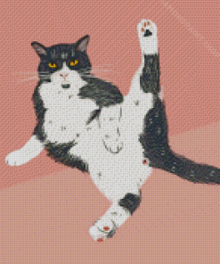 Aesthetic Funny Cat Diamond Paintings