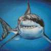 Aesthetic Great White Shark Diamond Paintings