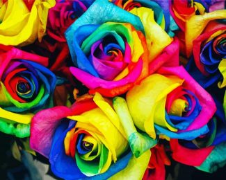 Aesthetic Rainbow Roses Art Diamond Paintings