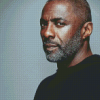 Aesthetic Idris Elba Actor Diamond Paintings