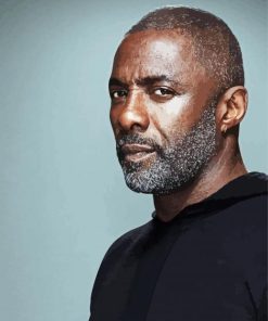 Aesthetic Idris Elba Actor Diamond Paintings