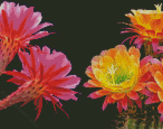 Aesthetic Pink And Yellow Flowers On Cactuses Diamond Paintings