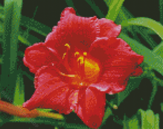 Aesthetic Red Lily Diamond Paintings
