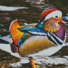 Beautiful Mandarin Duck Diamond Paintings