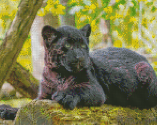 Black Jaguar Cub Diamond Paintings