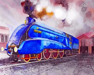 Blue Mallard Train Art Diamond Paintings