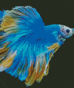Blue Siamese Fighting Fish Diamond Paintings