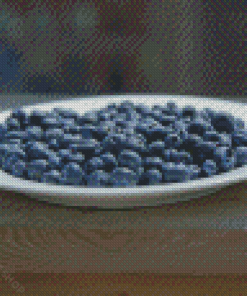Blueberry Plate On Patio Diamond Paintings