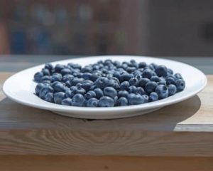 Blueberry Plate On Patio Diamond Paintings