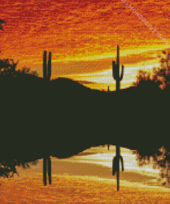 Cactus Sunset Reflection Diamond Paintings