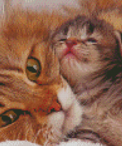 Cat And Kitten Snuggling Diamond Paintings