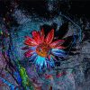 Colorful Flower Splatter Diamond Paintings