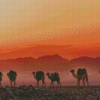 Ethiopian Desert Camels Diamond Paintings