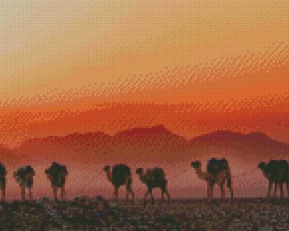 Ethiopian Desert Camels Diamond Paintings