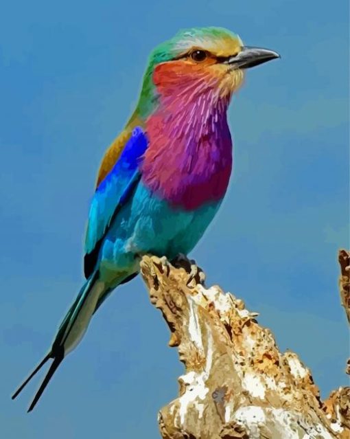 Lilac Breasted Roller Bird Diamond Paintings