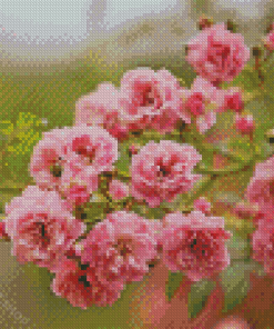 Pink Lilac Rose Diamond Paintings