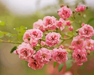 Pink Lilac Rose Diamond Paintings