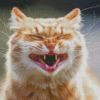 Smiling Cat Diamond Paintings