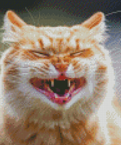 Smiling Cat Diamond Paintings